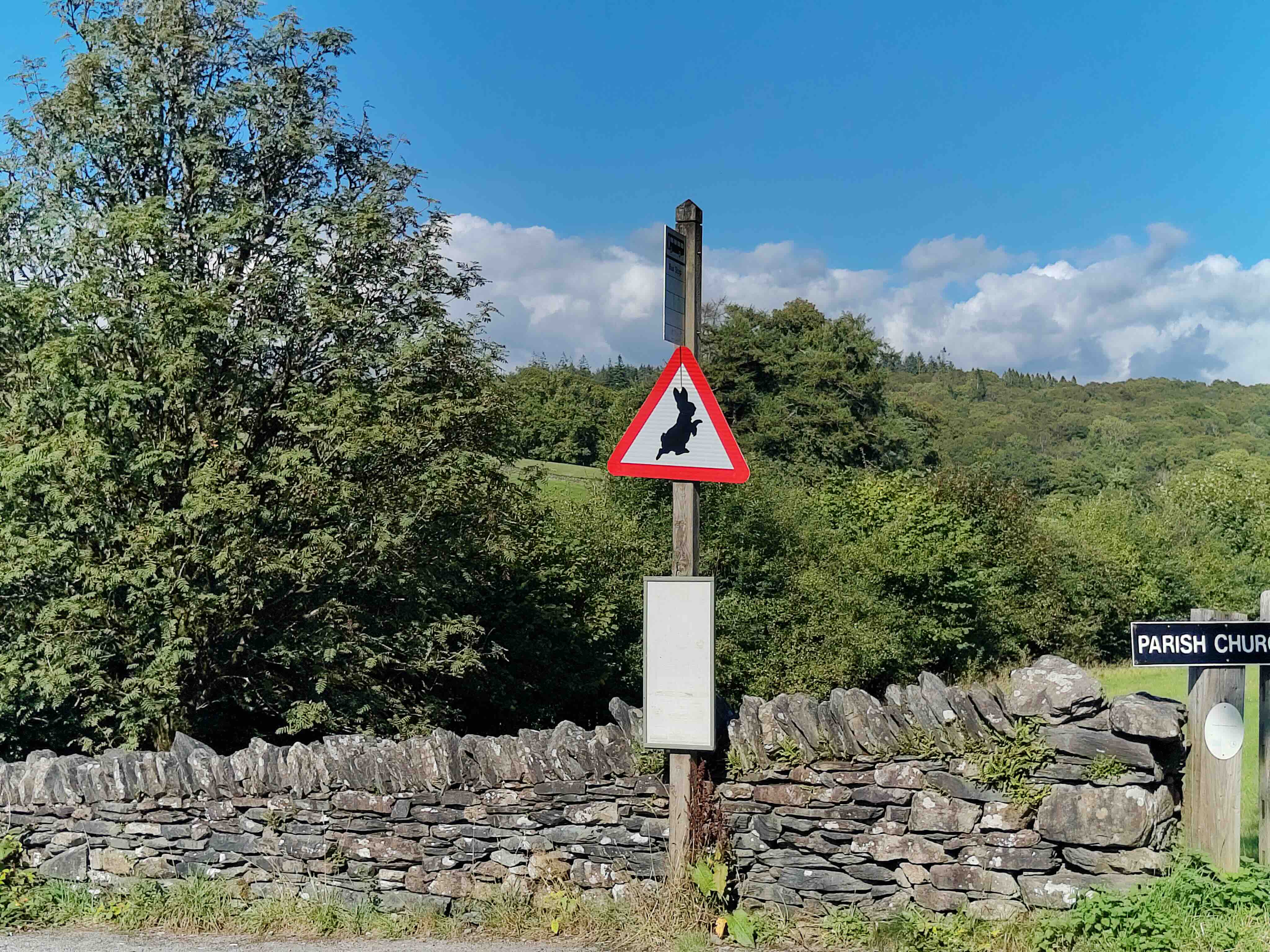 Photo of a bus stop signpost in a country lane on a sunny day, taken from across the road. Attached to the post is a classic 'warning' road sign, with a black silhouette of Peter Rabbit inside its red triangle.